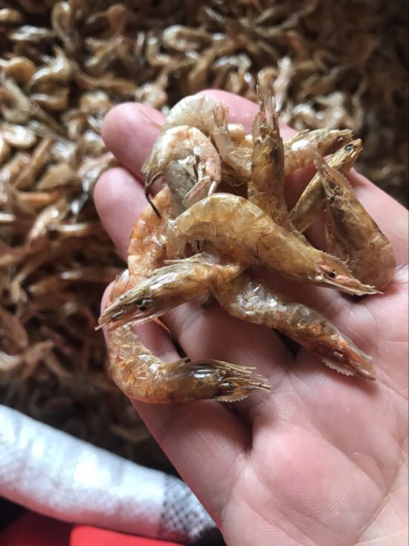 河虾干干河虾生晒河虾无盐虾干