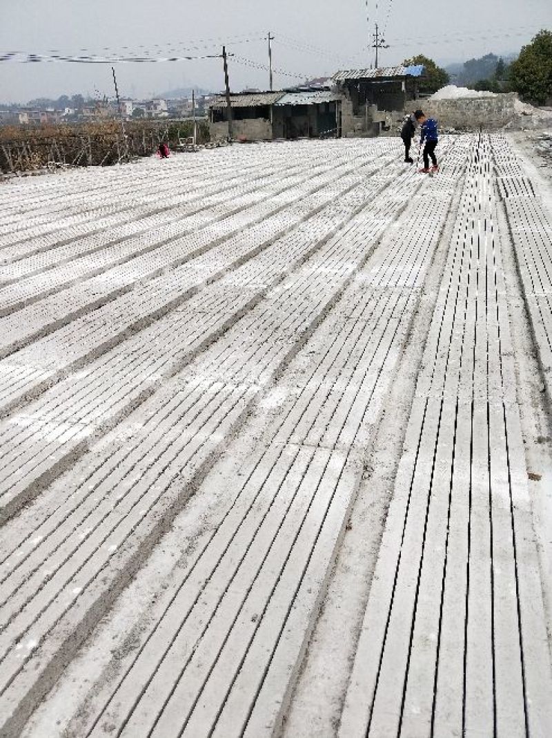 水泥立柱