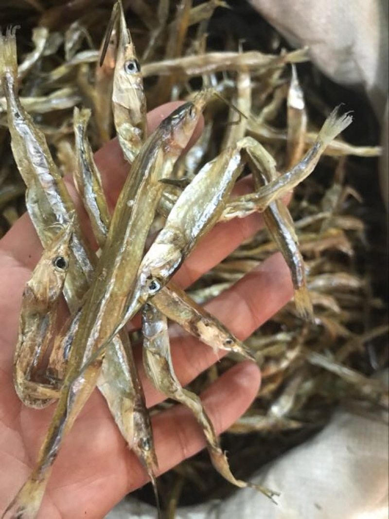 针公鱼针鱼无盐鱼干不破肚晒干