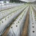 农用地膜除草膜黑色白色保温地膜加厚薄膜果树果园草莓塑料