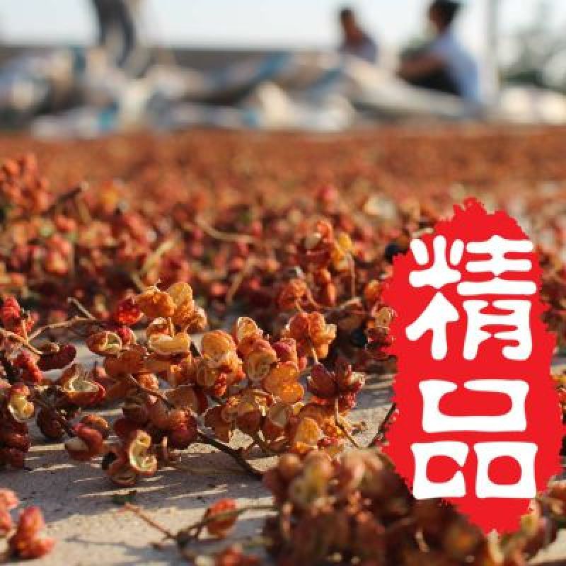 大红袍花椒特级干