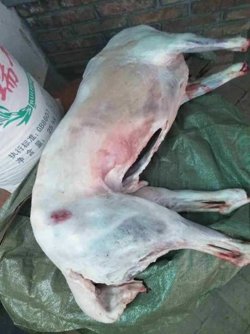 羊肉是带骨绵羊肉