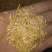 稻壳粉稻壳