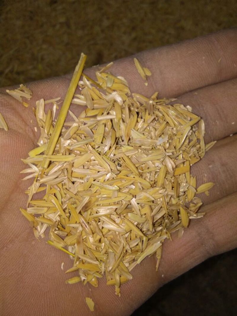 稻壳粉稻壳