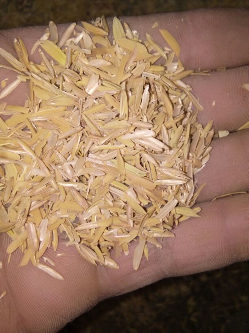 稻壳粉稻壳