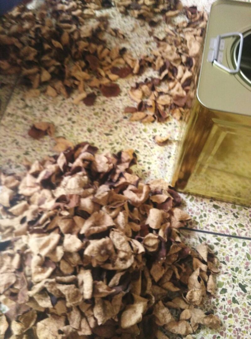 正宗老陈皮批发泡茶泡水陈皮调味煲汤经久正品耐泡