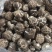 光面菇冬菇2.5厘米左右茶花菇