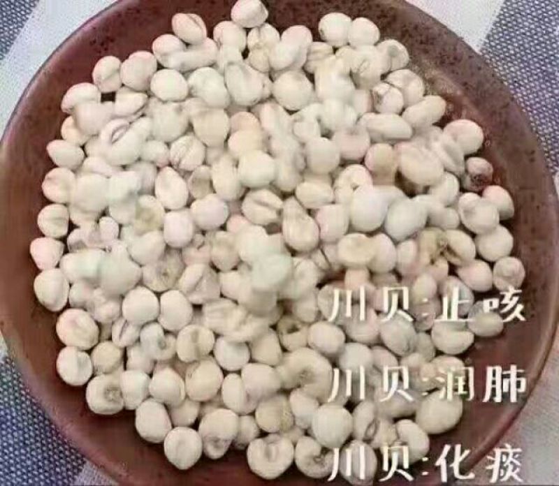 枇杷膏