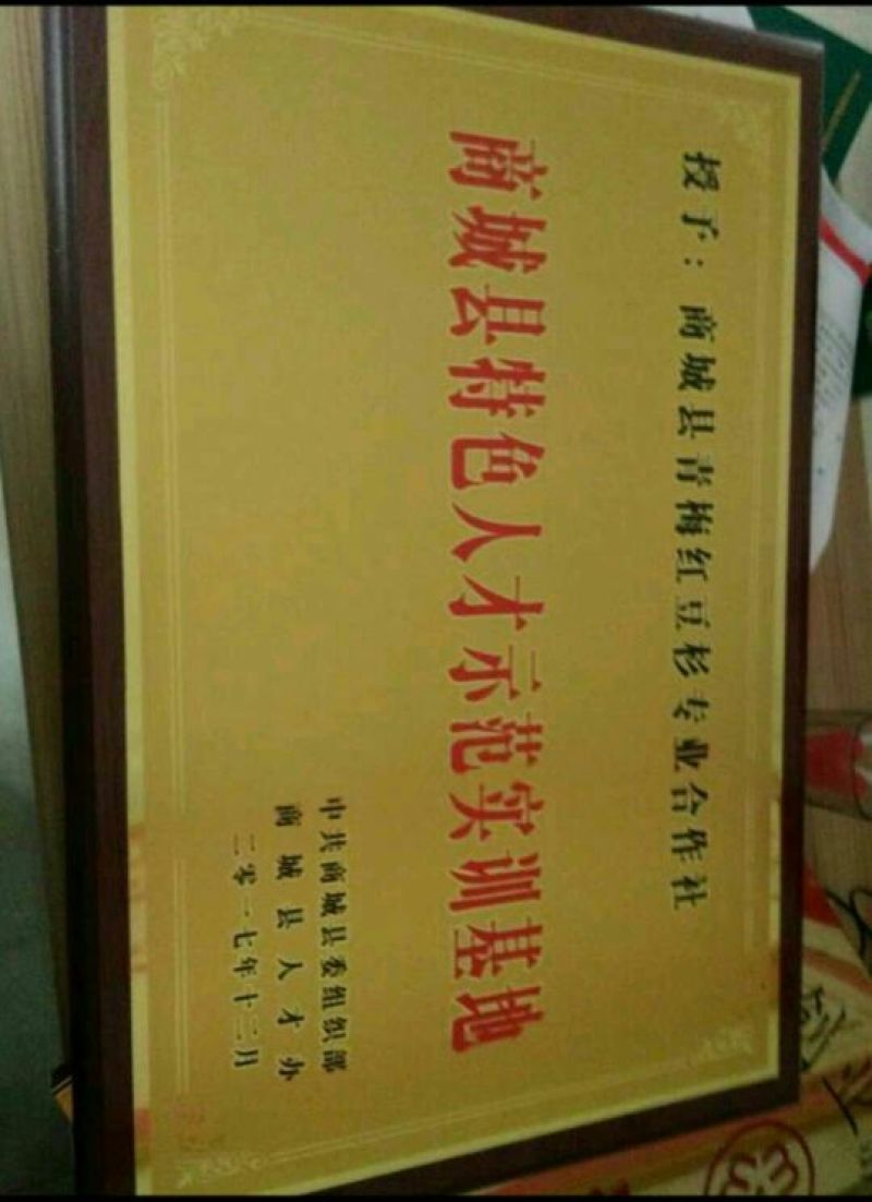 南方红豆杉，景观结果大树！