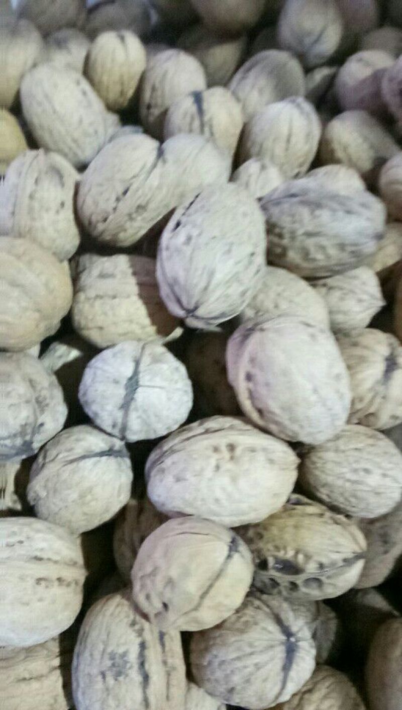 薄皮核桃25~30mm去皮干
