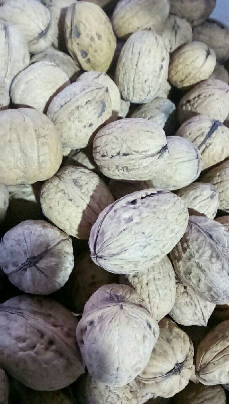薄皮核桃25~30mm去皮干