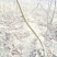核桃苗50~100cm1年以下