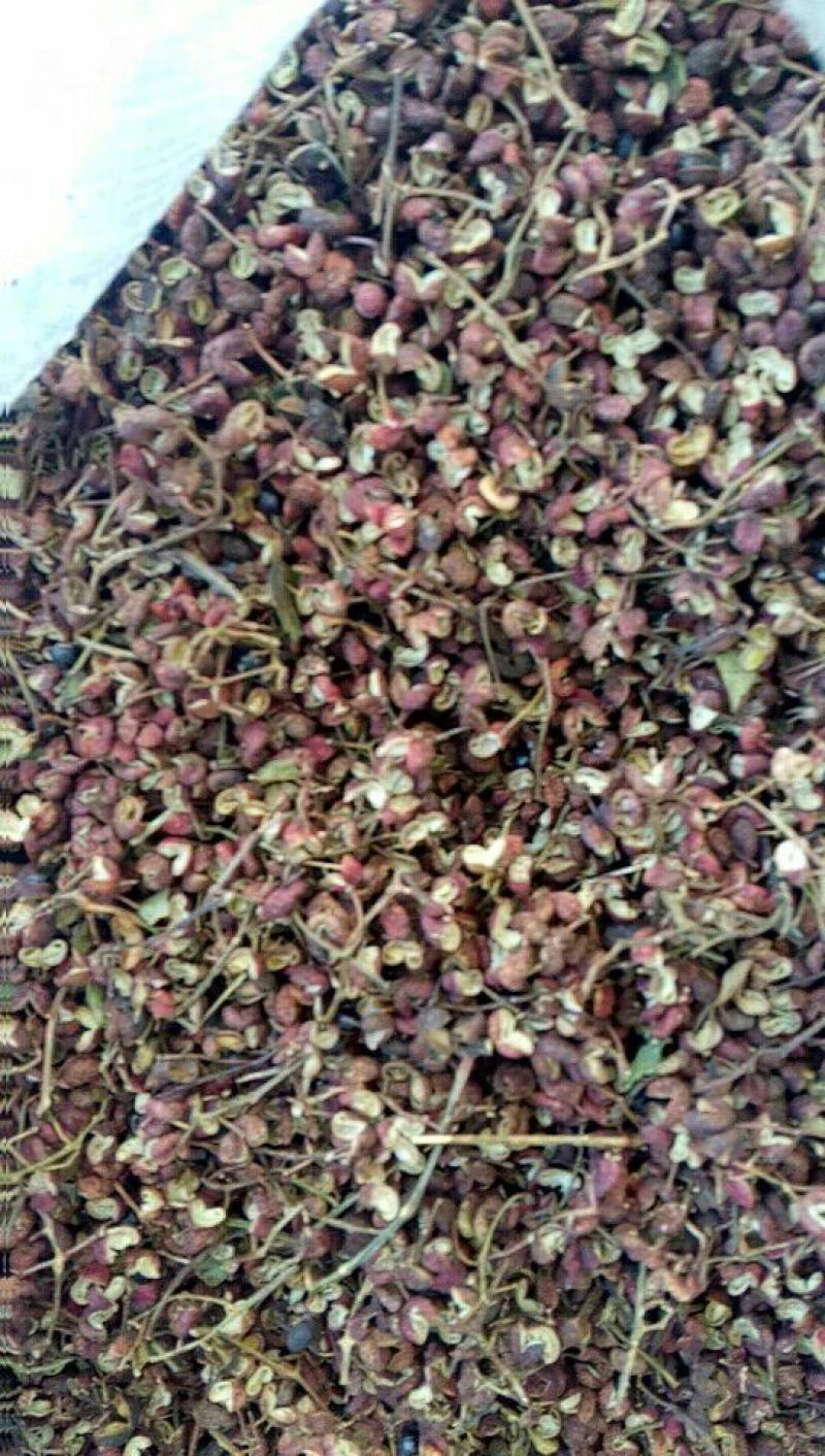花椒一级干