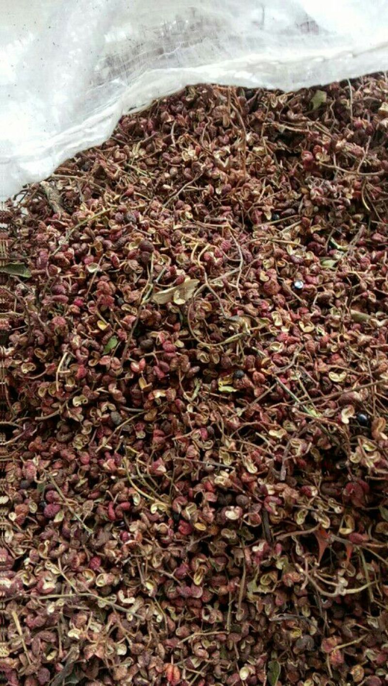 花椒一级干