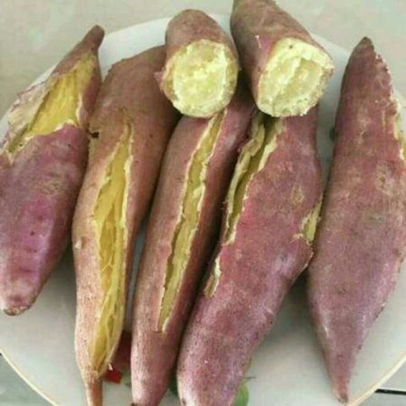 红薯3两以上小红薯黄心