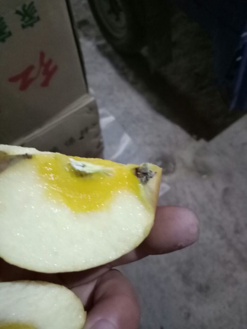 糖心红富士，75起步量大有货好（口感）欢迎来骚扰