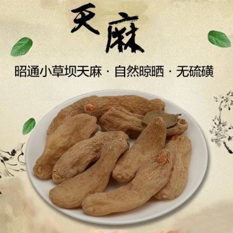 【今日推荐】野生天麻统货昭通天麻一手货源对接全国
