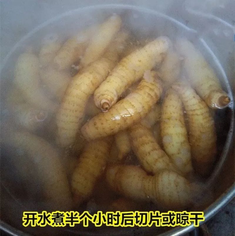 【今日推荐】野生天麻统货昭通天麻一手货源对接全国