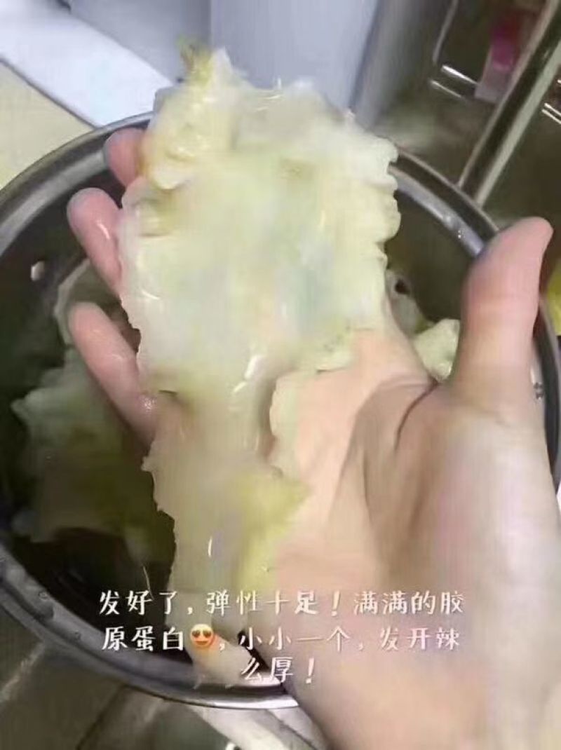 花胶中