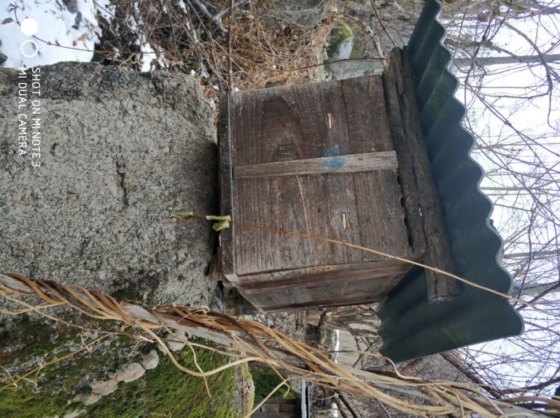 土蜂蜜自家养殖纯野生不掺假甜度高保真