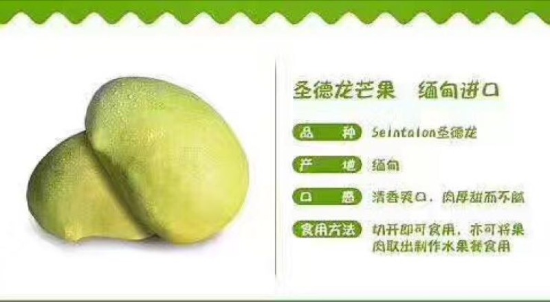 圣德龙5两以上