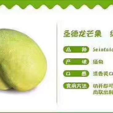 圣德龙6两以上