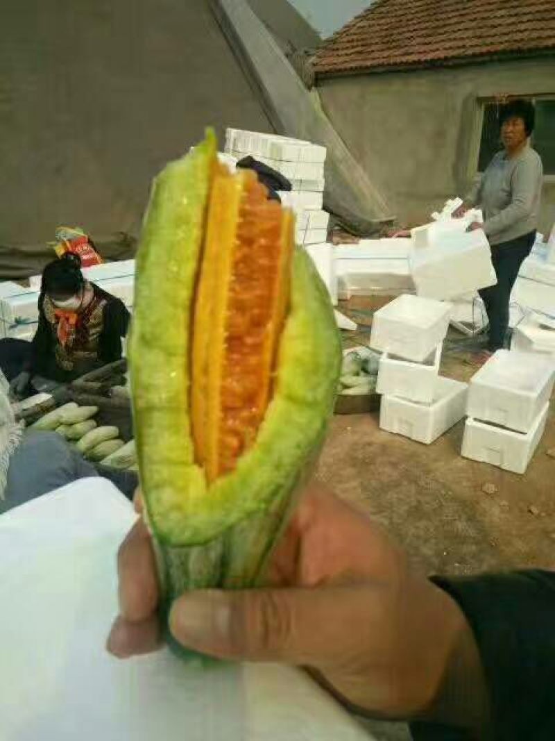 好货低价精品羊角蜜甜瓜1斤以上新货上市，欢迎咨询大量有货