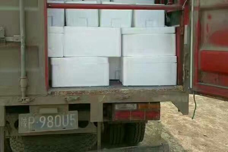 好货低价精品羊角蜜甜瓜1斤以上新货上市，欢迎咨询大量有货