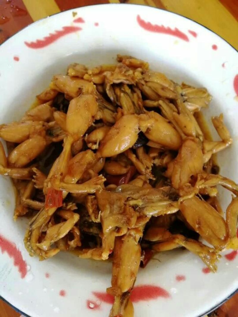 沼泽绿牛蛙商品牛蛙