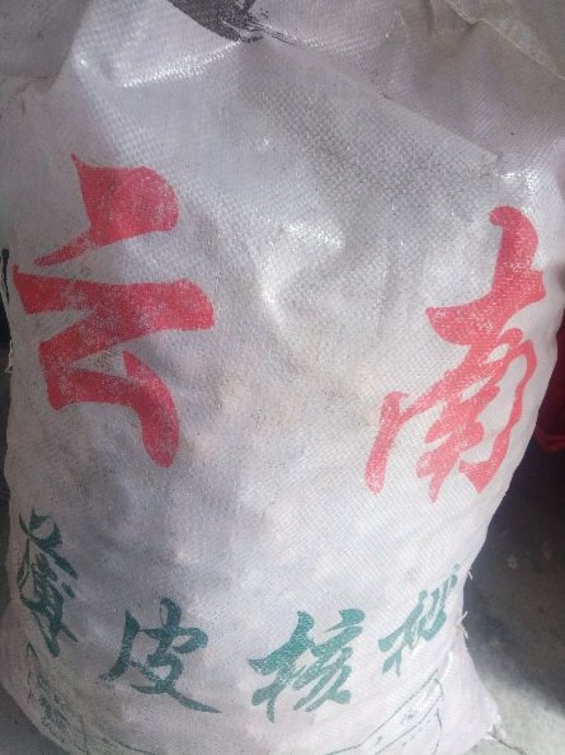 麻核桃去皮30~35mm干