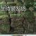 草坪草