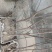 红富士苹果树苗2-3公分主干型