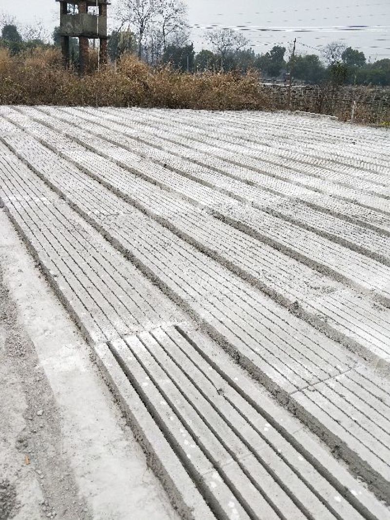 水泥立柱
