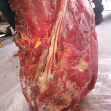 驴肉鲜冻驴肉，质量优上