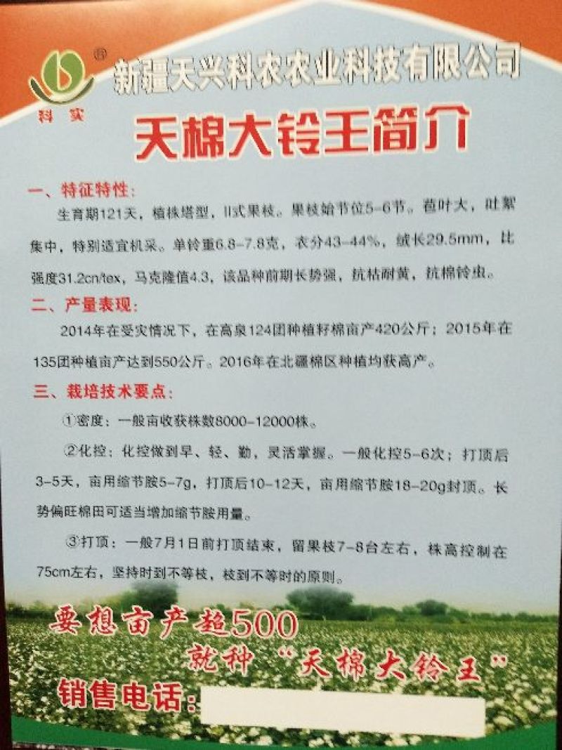 棉籽