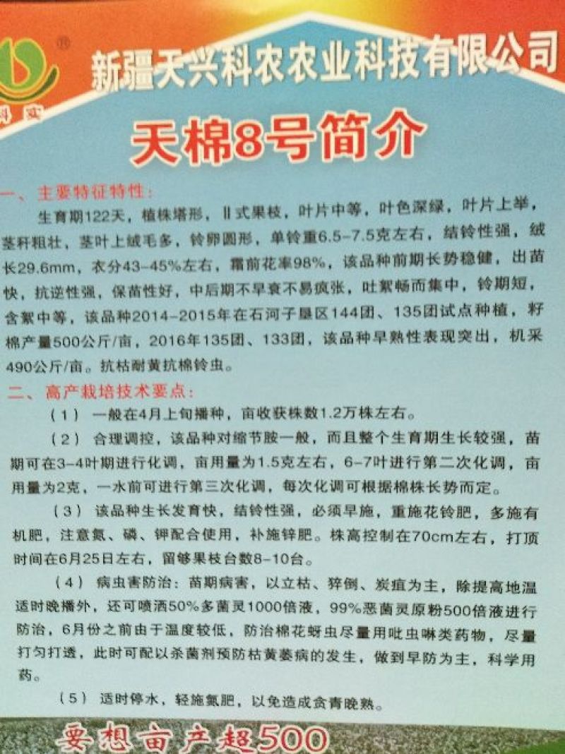 棉籽