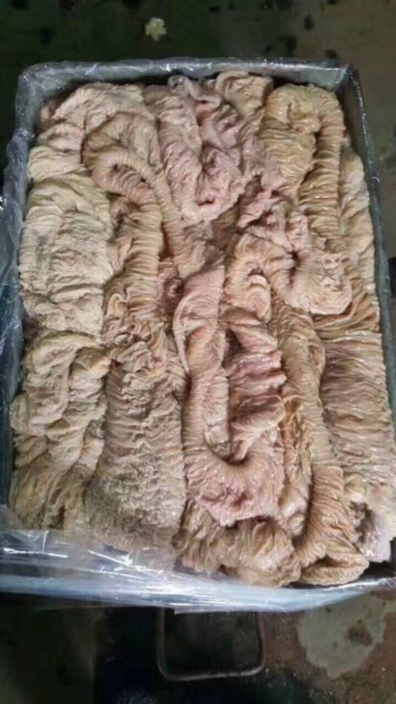 驴肉冻货