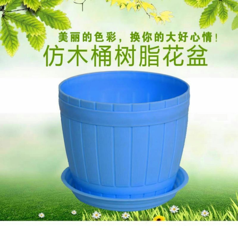 花盆