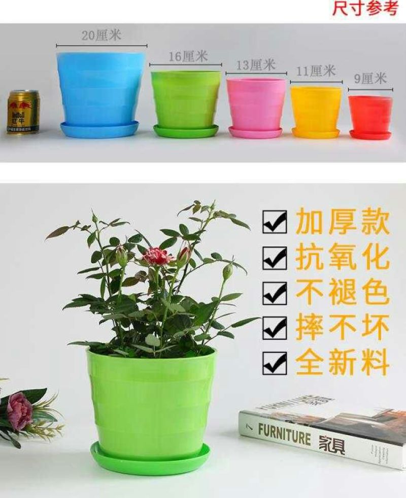 花盆