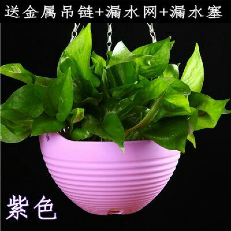 花盆