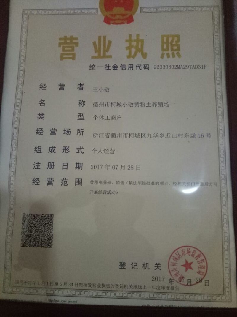 黄粉虫饲料