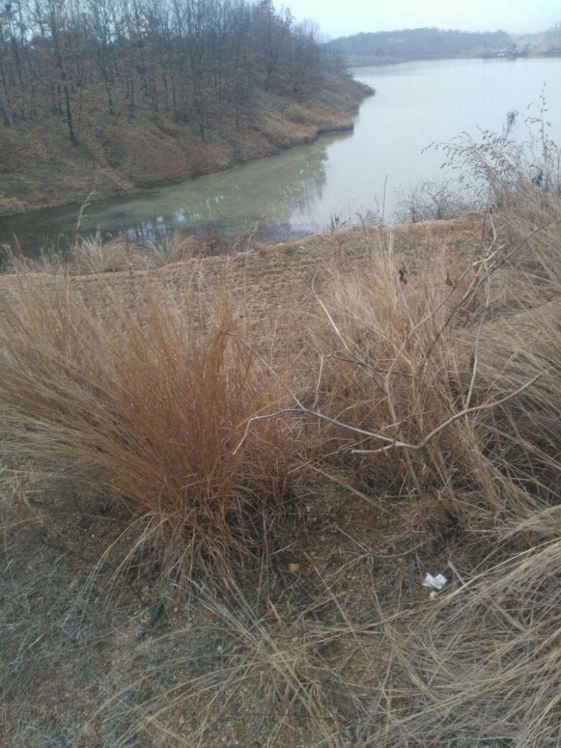 荒地101~1000亩10~30年出租