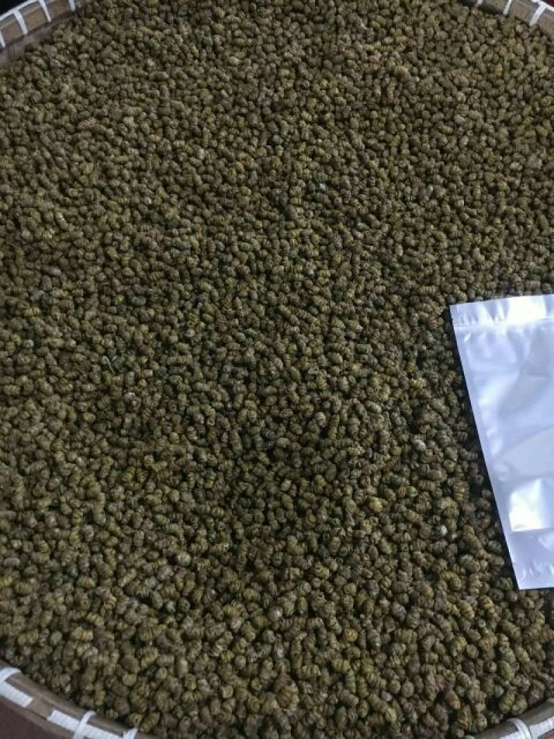 雁荡山铁皮石斛枫斗大中小颗粒