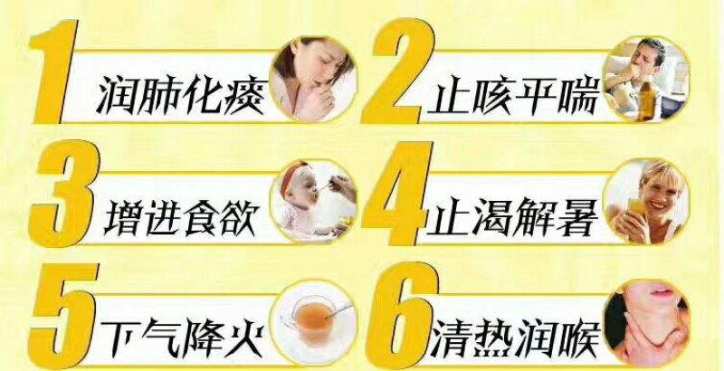 枇杷膏