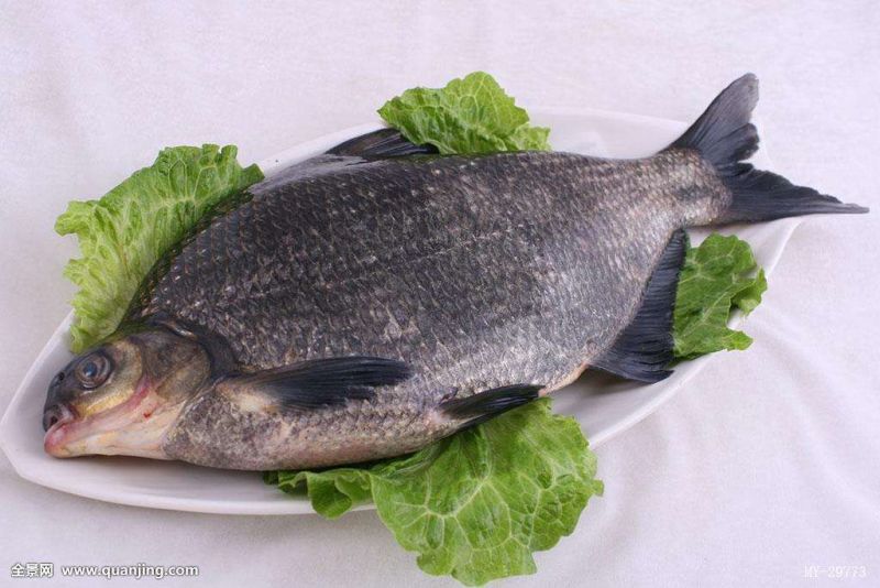三角鲂食用活鱼25~30cm