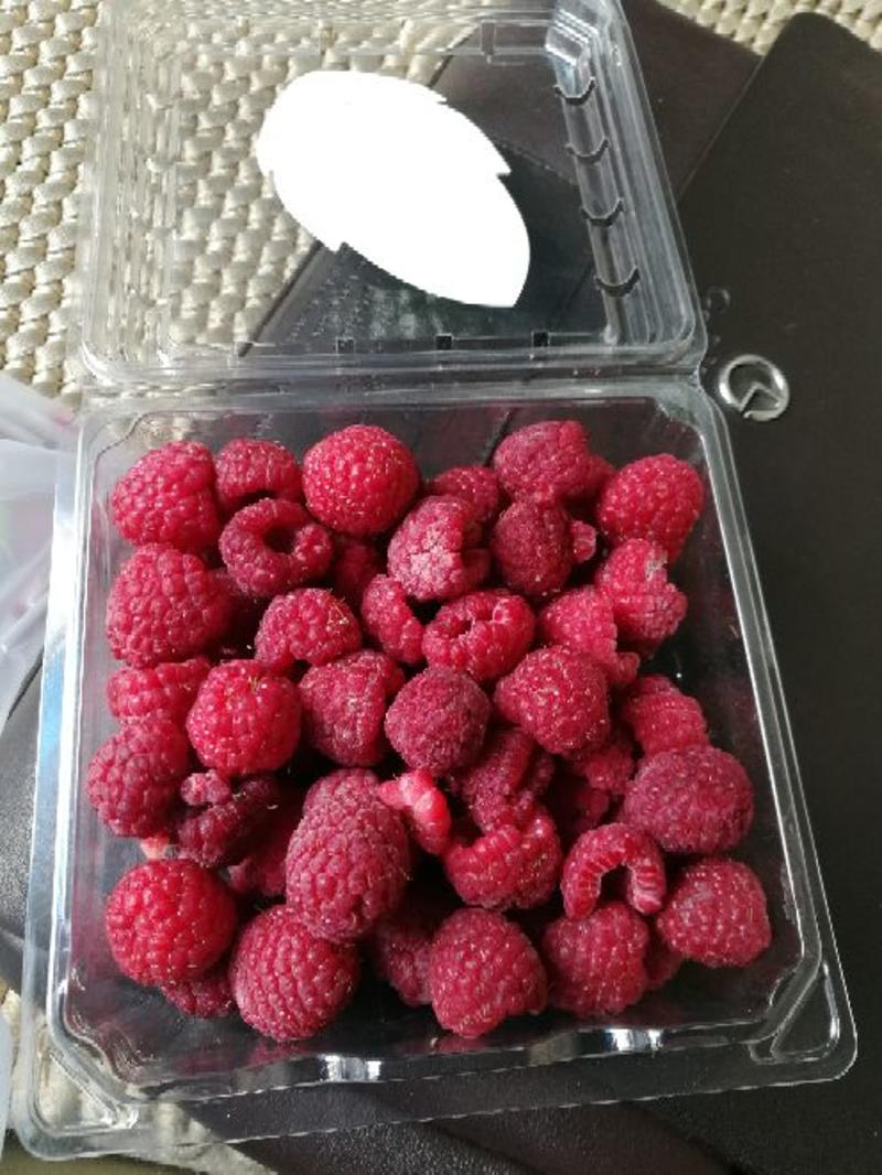 双季树莓冻果