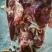 驴肉鲜货