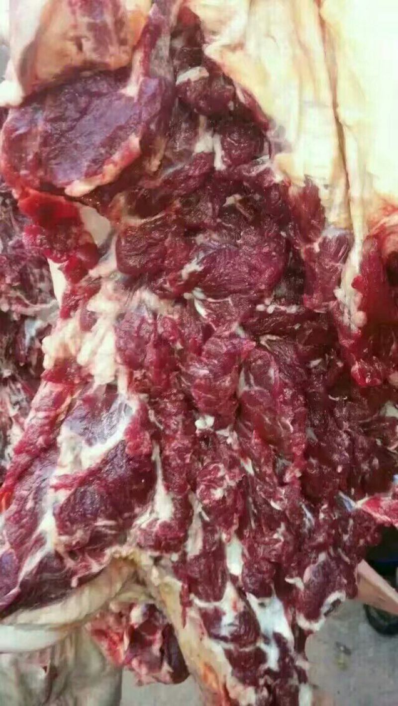 驴肉鲜货