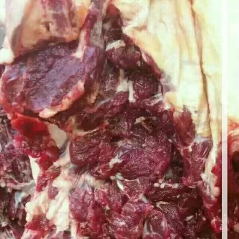驴肉鲜货