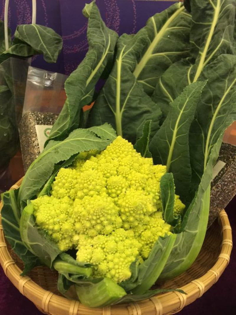 宝塔花菜紧花2~3斤米黄